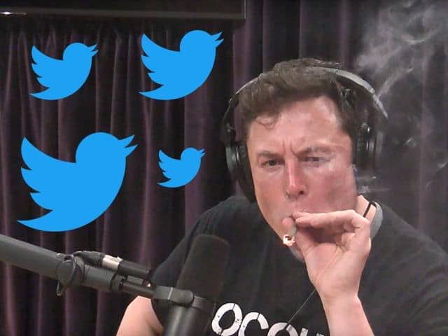 Report Elon Musk Considers Putting Twitter Behind Paywall Thenexgenusa 7223